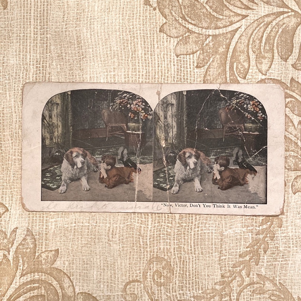 Antique “Now, Victor, Don’t You Think It Was Mean” stereoscope picture card